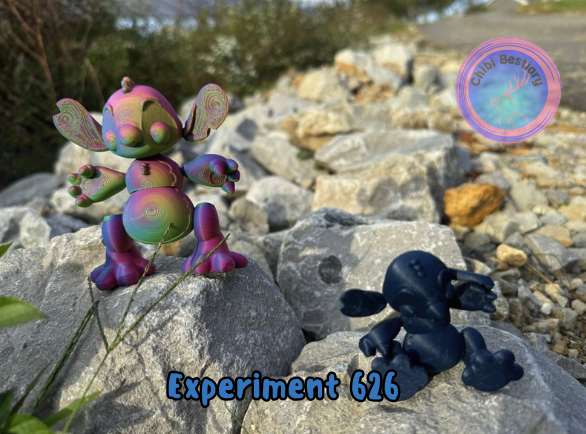 Experiment 626 Flexi